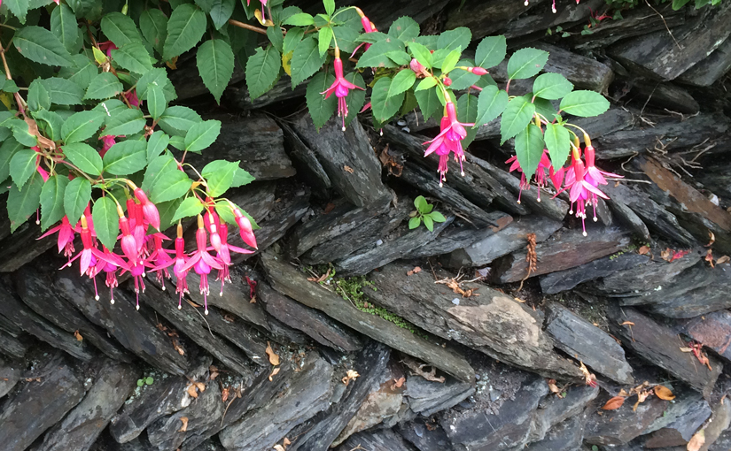 Three lovely weekends in a row (wrap up&nbsp;September)